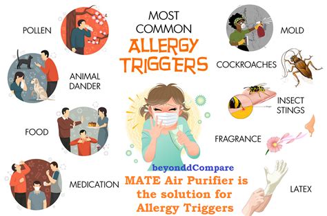 allergy trigger figgerits|Allergy trigger Figgerits [ Answers ] .